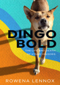 Dingo Bold The Life and Death of K'gari Dingoes