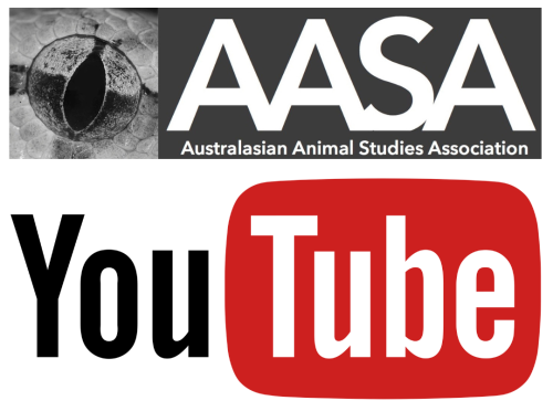 aasa youtube